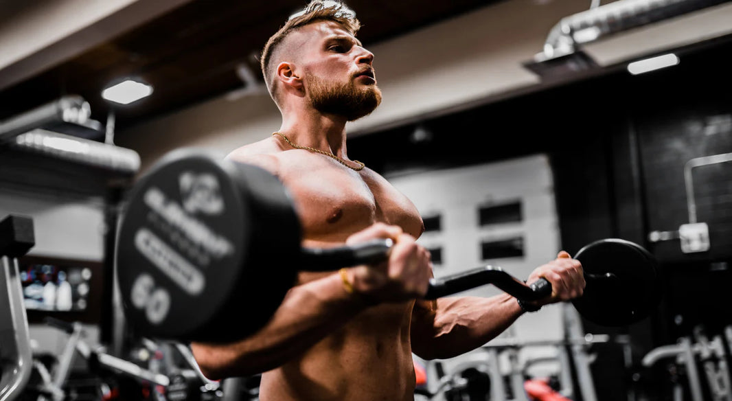 The Power of Natural Supplements for a Healthy Lifestyle