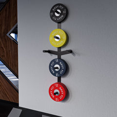 ALMACENADOR DE PARED PARA DISCOS + ALA DE EXTENSION